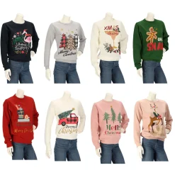 Apollo X-Mas sweater dames assorti