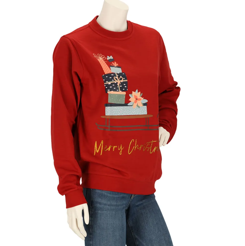 Apollo X-Mas sweater dames assorti