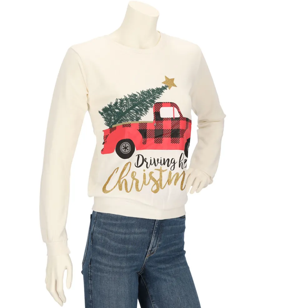 Apollo X-Mas sweater dames assorti