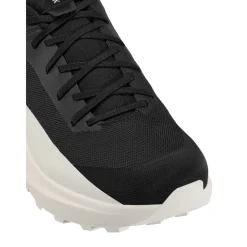 Arc'teryx Norvan LD 4 wandelschoenen heren black arctic silk