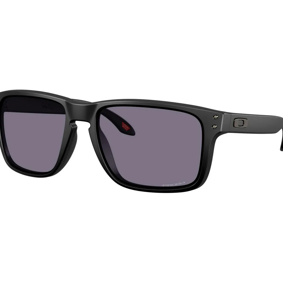Oakley Holbrook XXL zonnebril prizm grey matte black