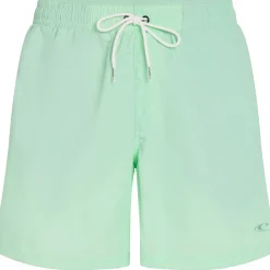 O'Neill Vert 16 inch zwembroek heren mildrew mint