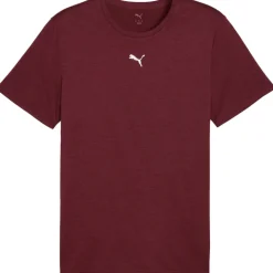 Puma TAD ESSENTIALS shirt heren ruby shimmer heather