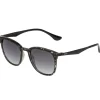 Sinner Cowell zonnebril gradient smoke matte black grey tortoise