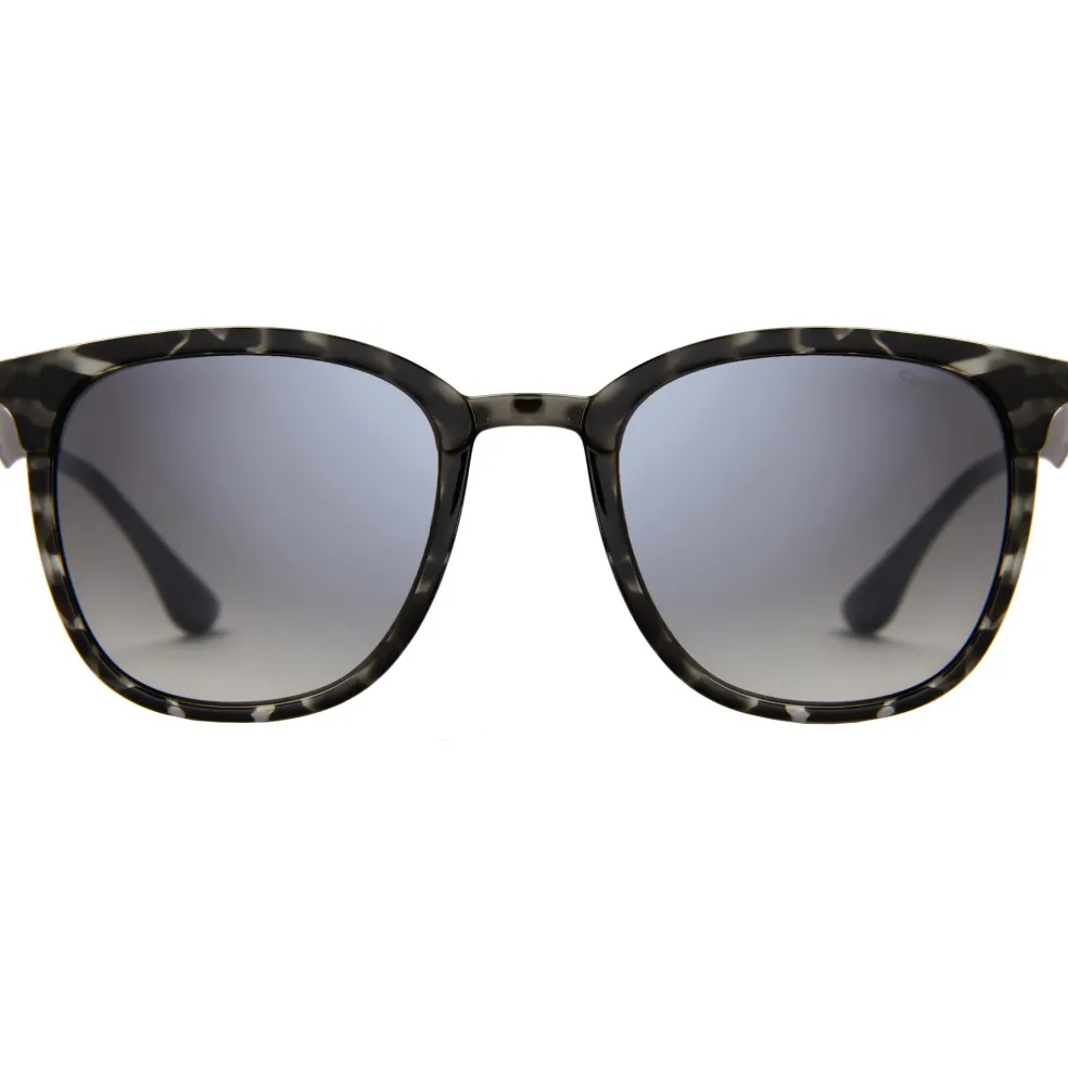 Sinner Cowell zonnebril gradient smoke matte black grey tortoise