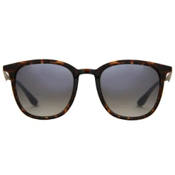 Sinner Cowell zonnebril green matte brown yellow tortoise