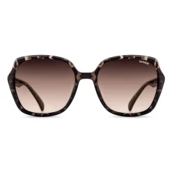 Sinner Montara zonnebril brown crystal brown tortoise