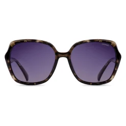 Sinner Montara zonnebril smoke black grey tortoise