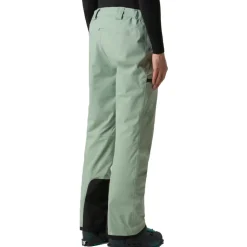 The North Face Chakal skibroek heren slate moss