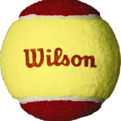 Wilson Starter Red tennisballen